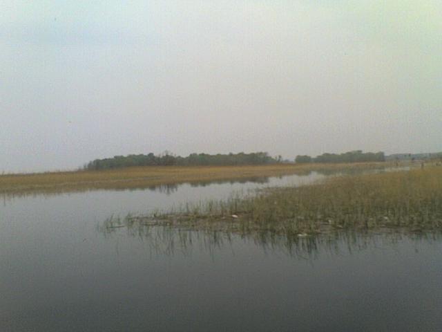 Чапаєвка з panoramio.com - Чапаевка