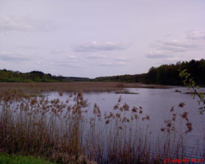 Кушкине з panoramio.com - Кушкино