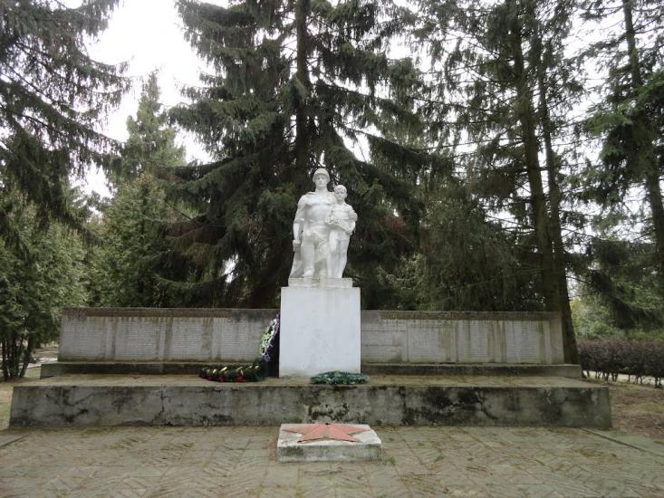 Боровичі з panoramio.com - Боровичі