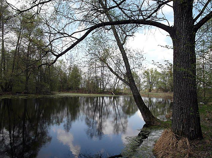 Вельбівка з panoramio.com - Вельбовка