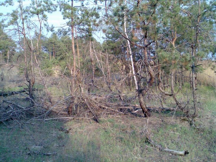 Леськи з panoramio.com - Леськи