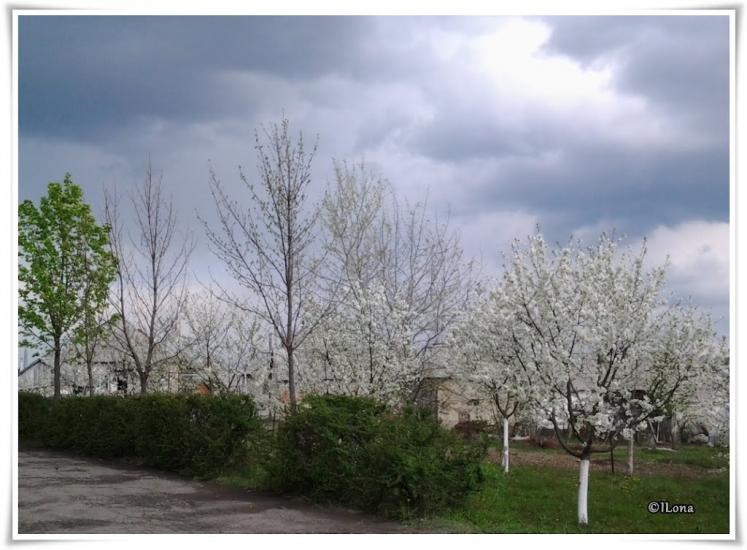 Дерцен з panoramio.com - Дерцен