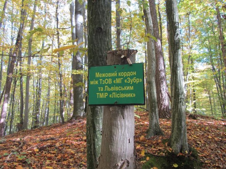 Поляна з panoramio.com - Поляна