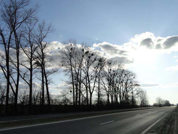 Звірів з panoramio.com - Звірів