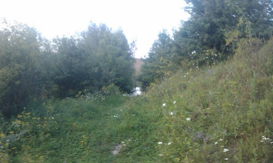 Вербиця з panoramio.com - Вербиця