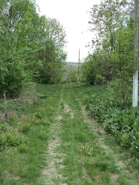 Галайківці з panoramio.com - Галайківці