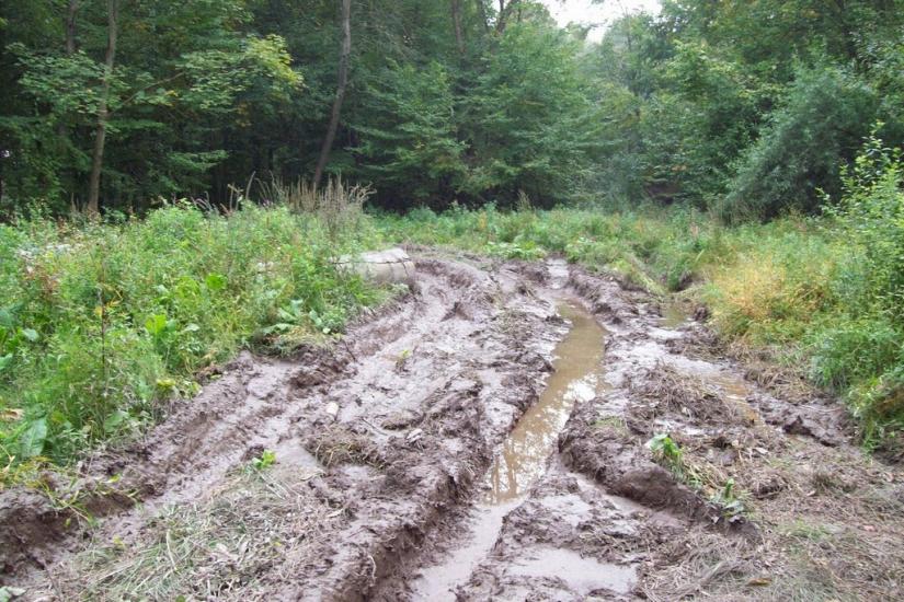 Поляна з panoramio.com - Поляна