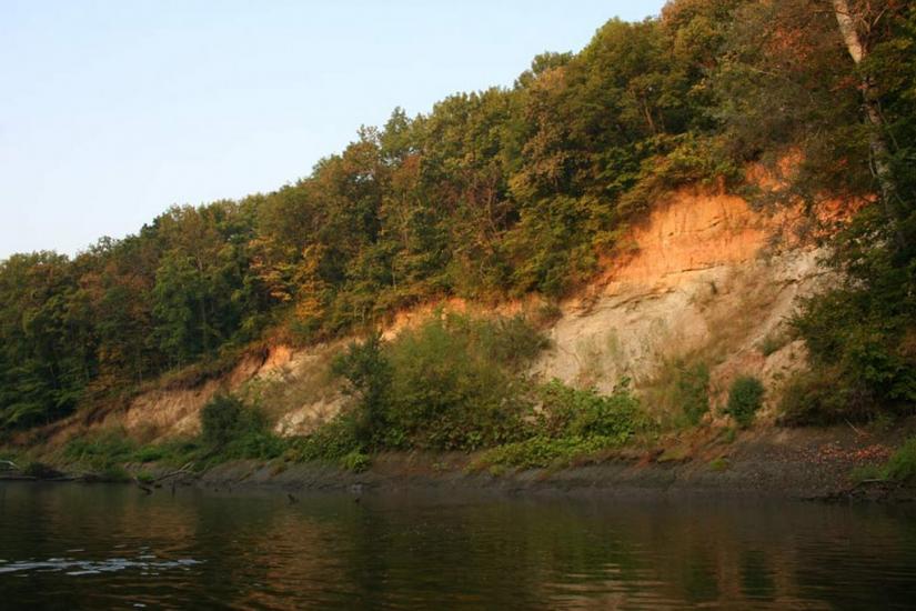 Плавні з panoramio.com - Плавни