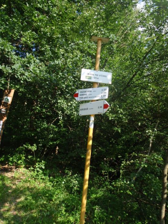 Княгиня з panoramio.com - Княгиня