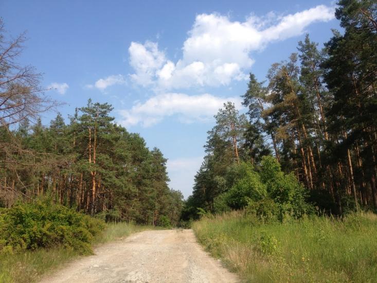 Обухів з panoramio.com - Обухов