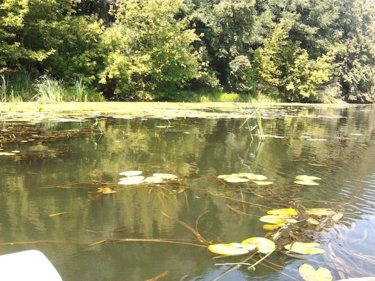 Межиріч з panoramio.com - Межиріч