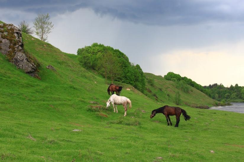 Маринин з panoramio.com - Маринин