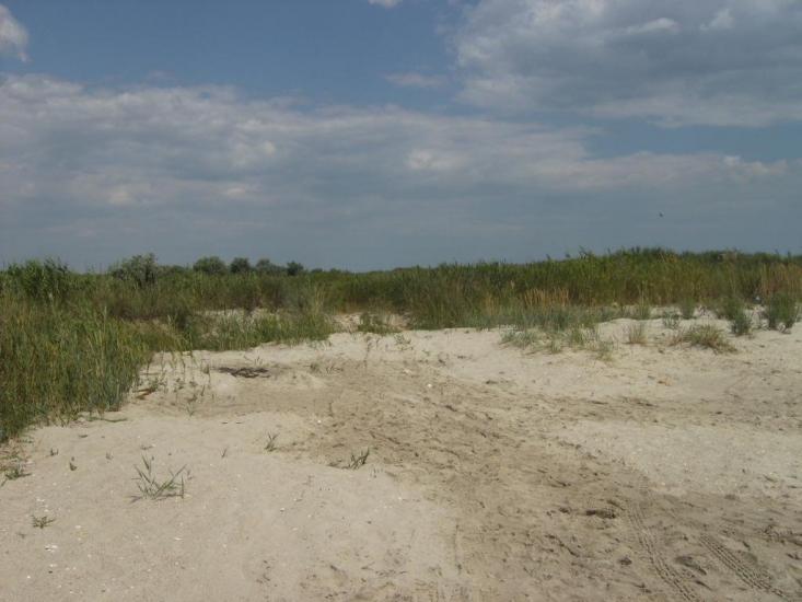 Лиман з panoramio.com - Лиман