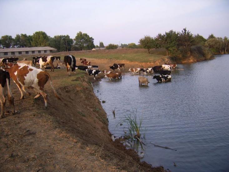Лісна Поляна з panoramio.com - Лесная Поляна
