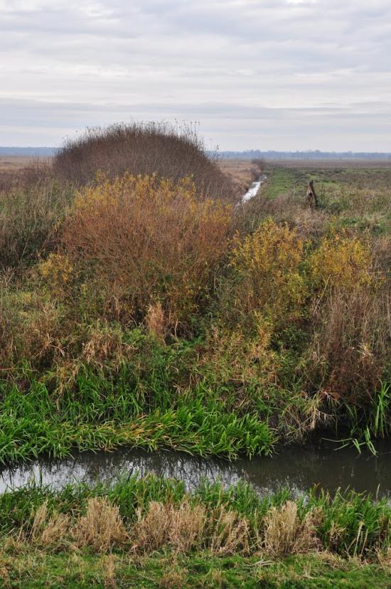 Гірське з panoramio.com - Girske