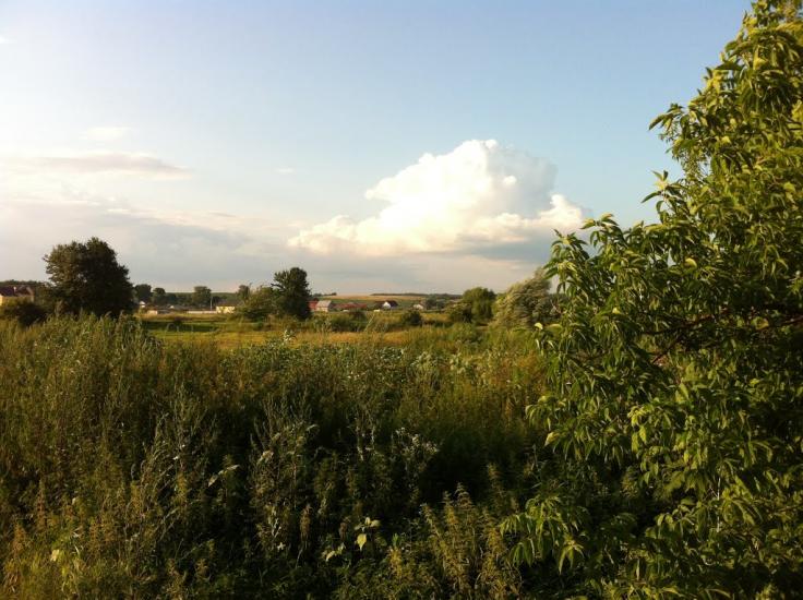 Новосілки з panoramio.com - Новосілки