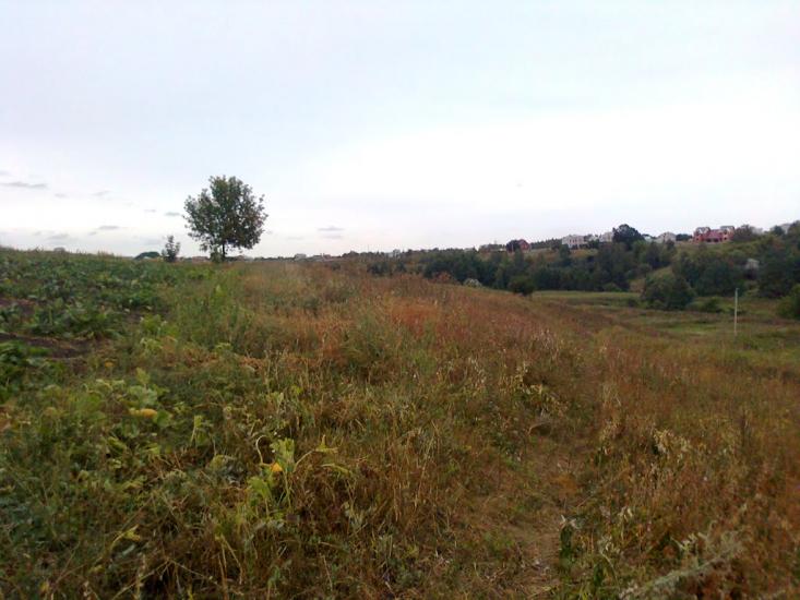 Сад з panoramio.com - Сад