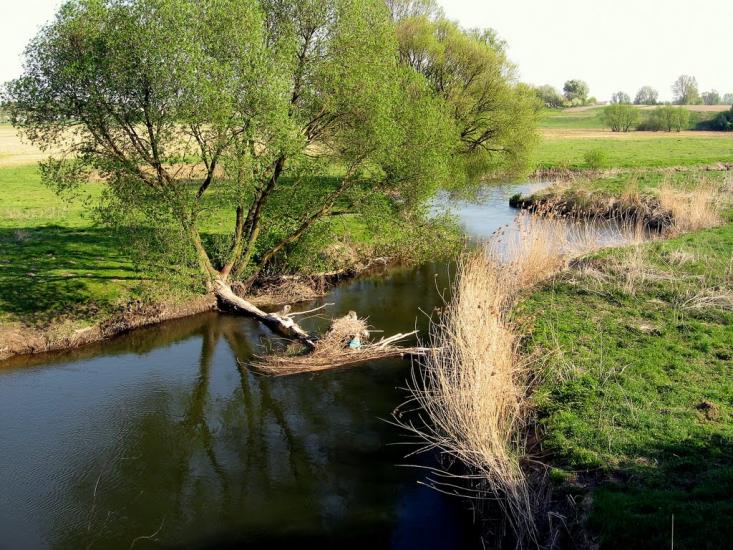 П'ятидні з panoramio.com - П'ятидні