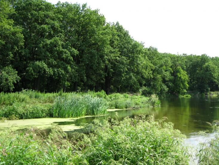 Балаклія з panoramio.com - Балаклея