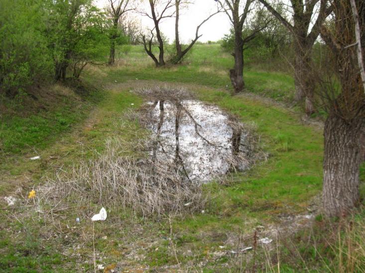 Закітне з panoramio.com - Закотное