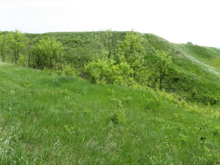 Дячківка з panoramio.com - Дячківка