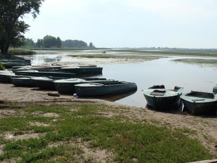 Сорокошичі з panoramio.com - Сорокошичі