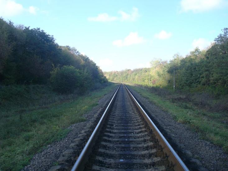 Велика Калинівка з panoramio.com - Велика Калинівка