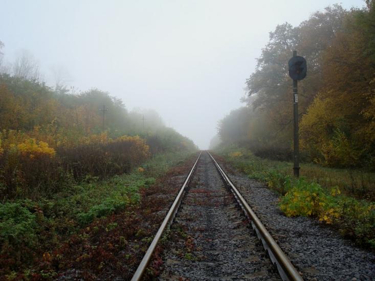 Закупне з panoramio.com - Закупное