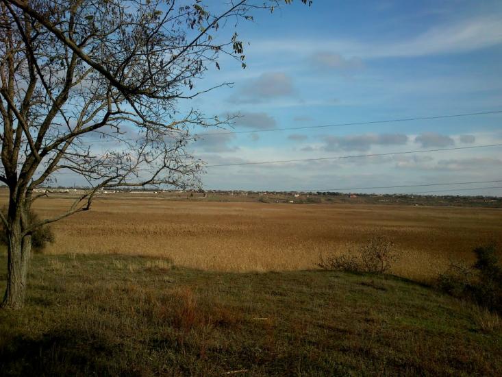 Суворове з panoramio.com - Суворово