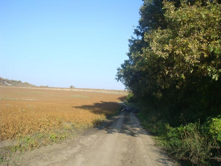 Закупне з panoramio.com - Закупное