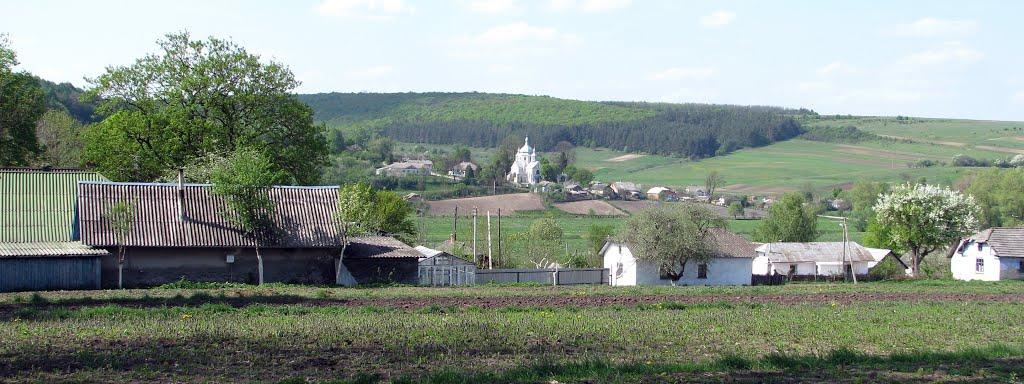 Потік з panoramio.com - Potik