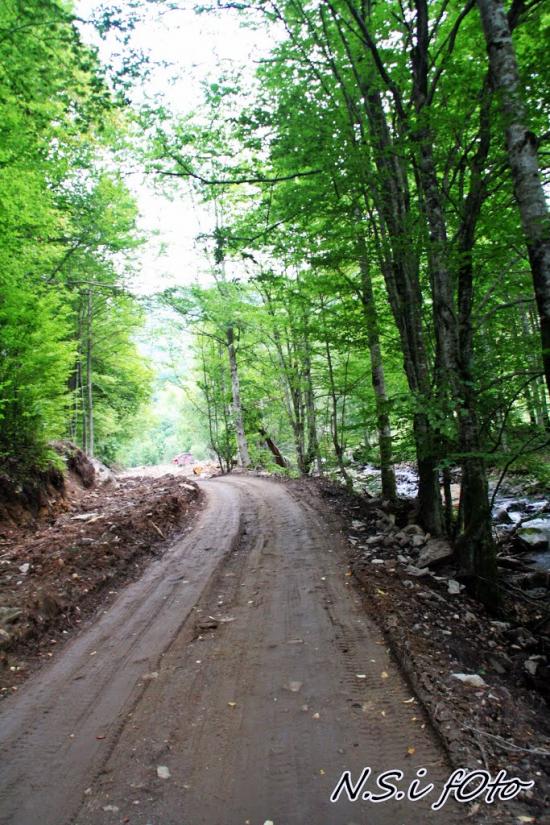 Бедевля з panoramio.com - Бедевля