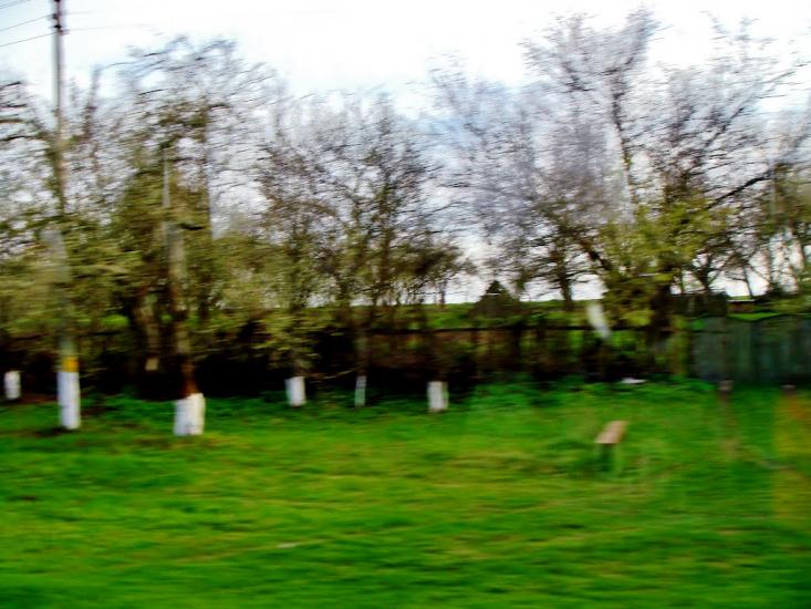 Смільчинці з panoramio.com - Смельчинцы