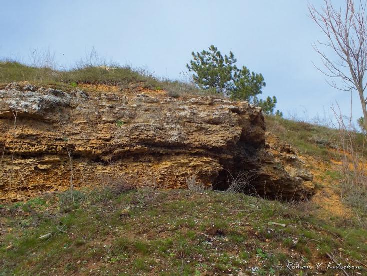 Антонівка з panoramio.com - Antonivka