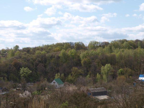 Великі Дмитровичі з panoramio.com - Velyki Dmytrovychi