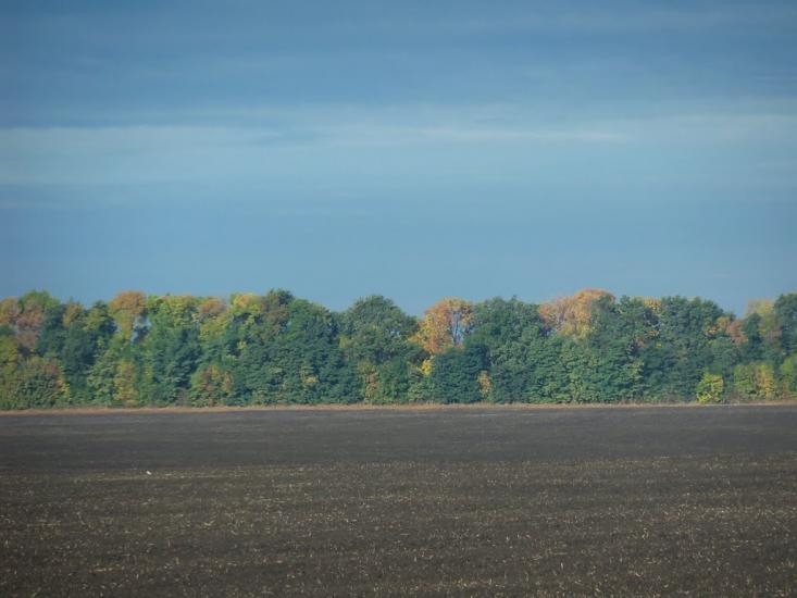 Бурківці з panoramio.com - Бурківці