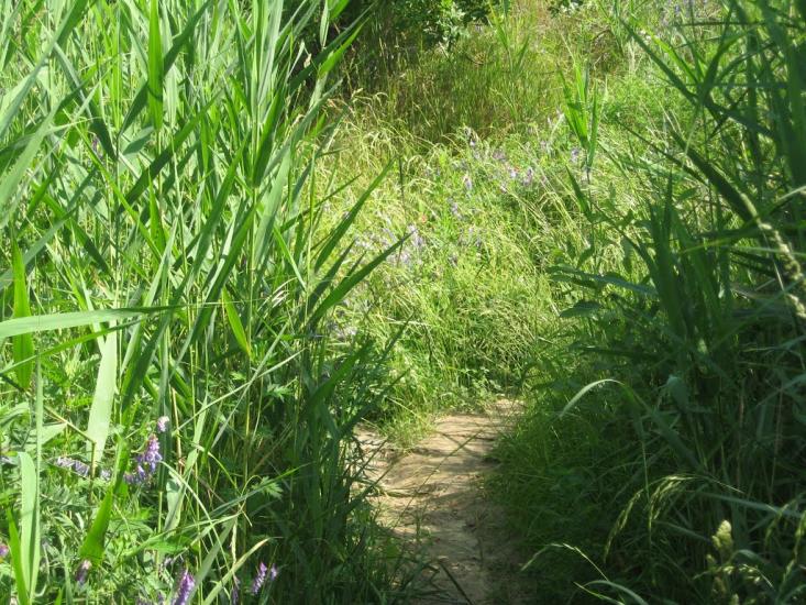 Катеринівка з panoramio.com - Катеринівка