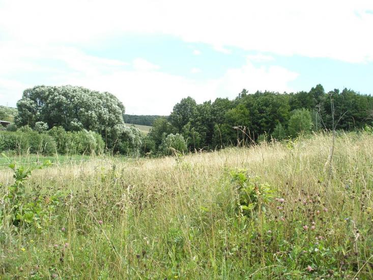 Зарванці з panoramio.com - Zarvantsi