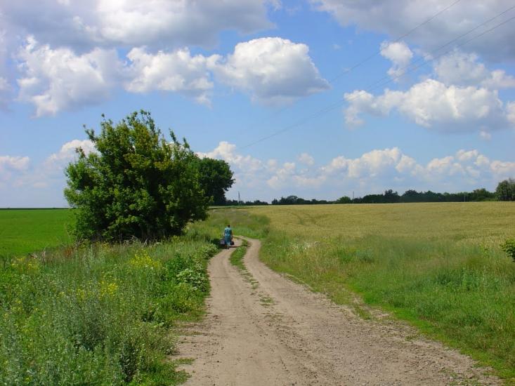 Скородистик з panoramio.com - Скородистик