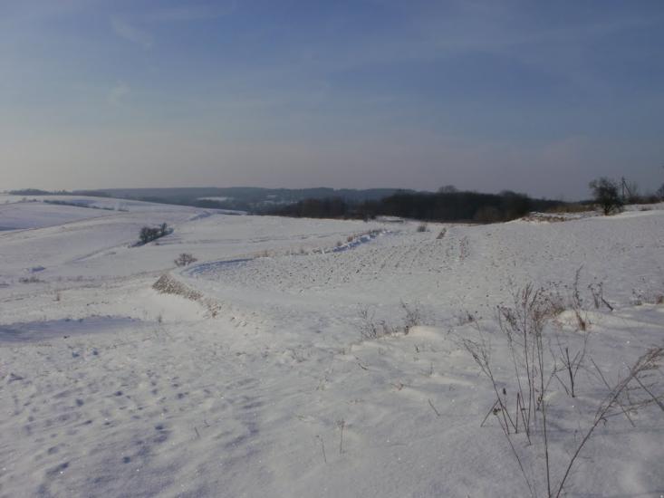 Теліжинці з panoramio.com - Telizhyntsi