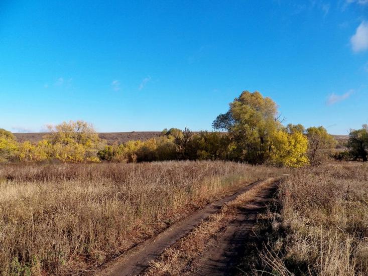 Нікішине з panoramio.com - Никишино