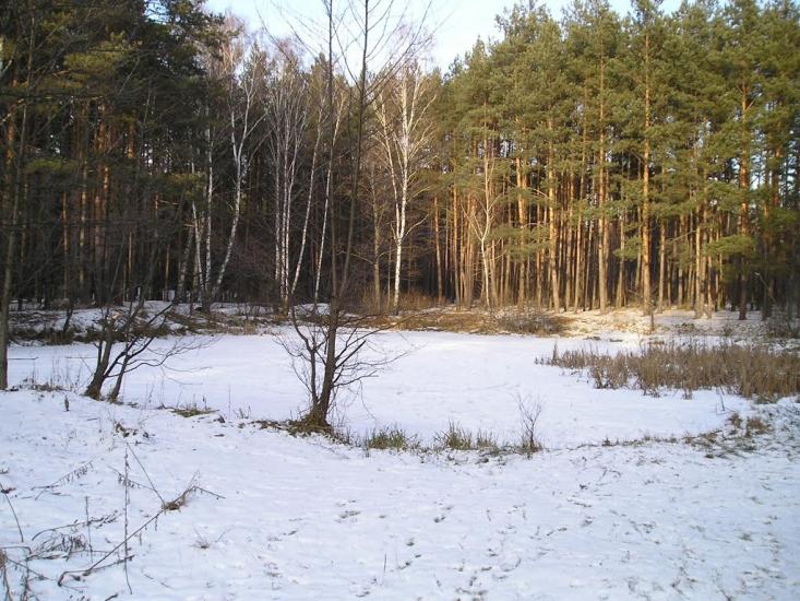 Першотравенськ з panoramio.com - Першотравенськ