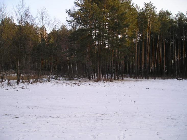 Першотравенськ з panoramio.com - Першотравенськ