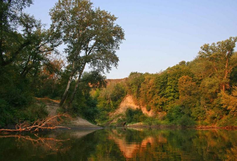 Плавні з panoramio.com - Плавни