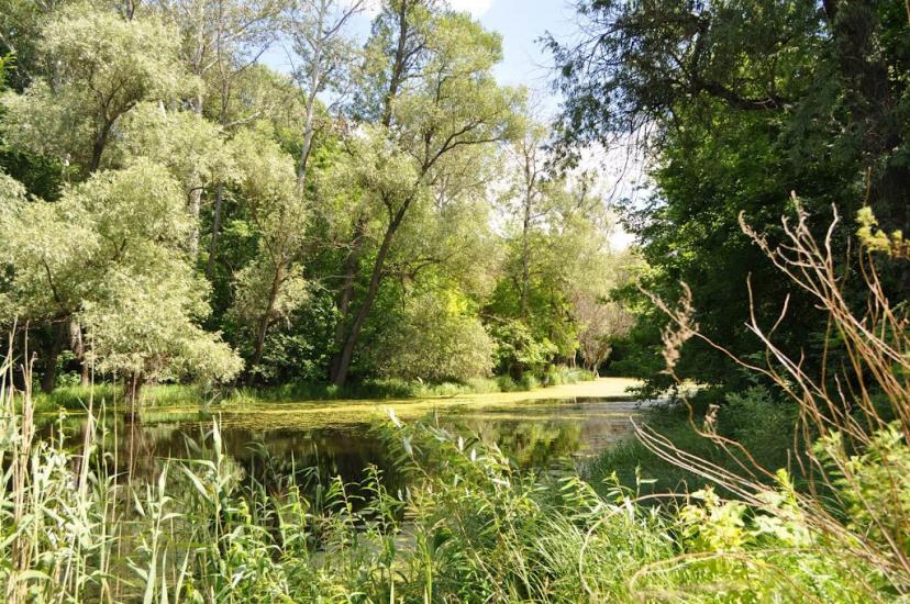 Пристанційне з panoramio.com - Пристанционное