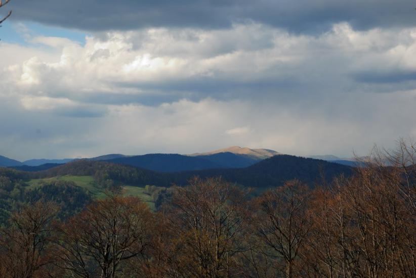 Косівська Поляна з panoramio.com - Косівська Поляна