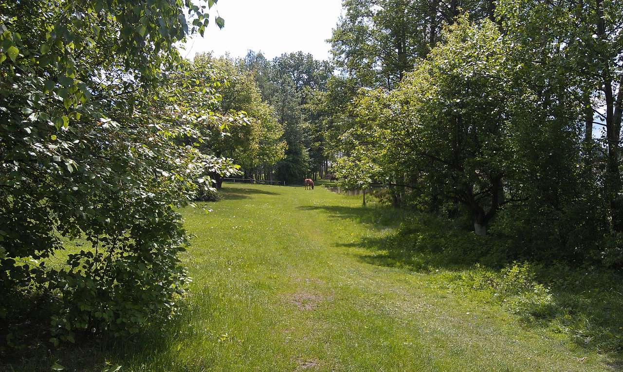 Любохини - Любохини