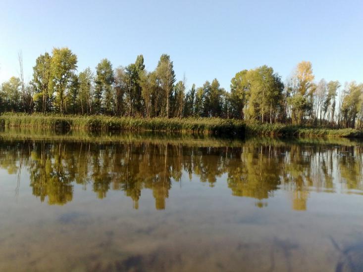 Чапаєвка з panoramio.com - Чапаевка
