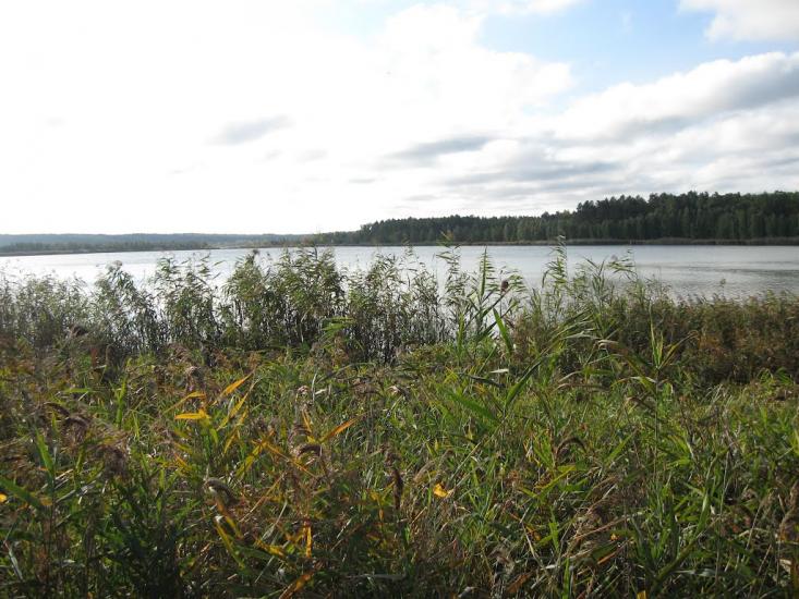 Ліпляве з panoramio.com - Лепляво
