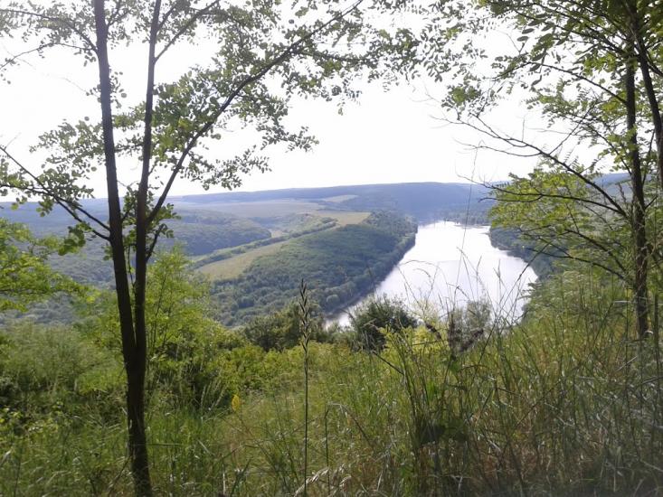 Іване-Золоте з panoramio.com - Иване-Золотое